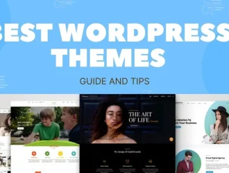Best-WordPress-Themes